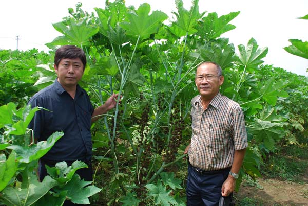 ̨��ũҵר��лѫ��������Ժ����