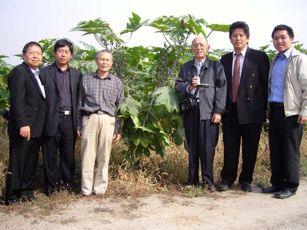 ӡ�������Ǳ��鿼��������Ժ����