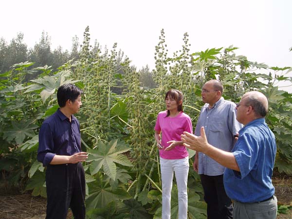 ��ɫ��ר��ERAN HOVEV��SAMUEL KESHET����