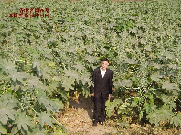 ����������������Ժ�������������