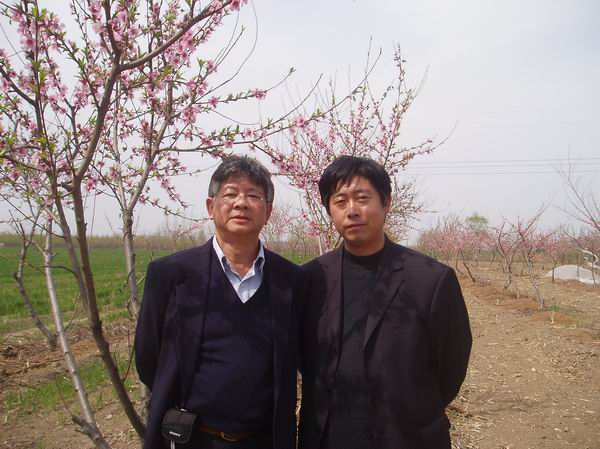 �¼��¿�������������Ժ����