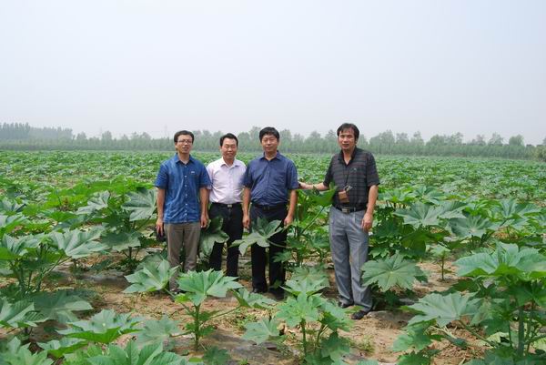 �����ֿ�ԺԺ������������͹����ֿ�Ժ��Ժ������������һ������ԺǢ̸���Ͽ�չ��ҵ����ֲ����Ʒ��ѡ���о���Ŀ