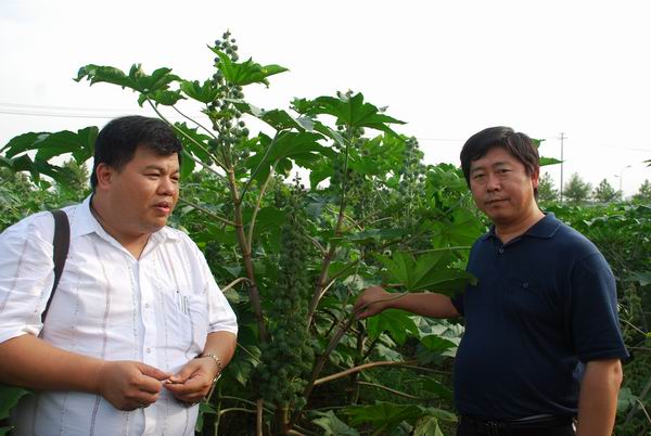 �������ǹ��ʻ���Ͷ�ʹ�˾�������������������о�Ա����Ժ�����������Ӱ����