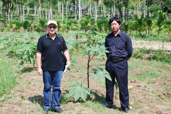 �������о�Ա��ͬ��ɫ��ר�Ҳι���Ժ�����Ϸ�����վ